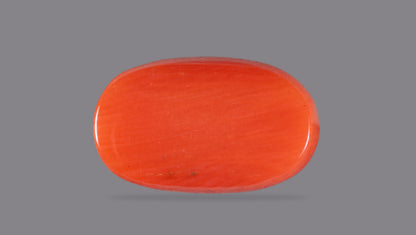 Natural Red Coral (Moonga) 8.04 Carats
