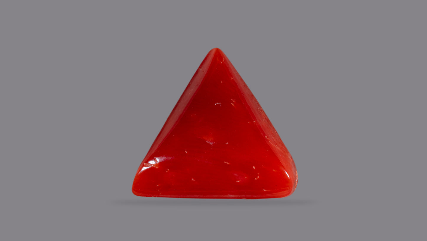 Natural Italian Red Coral (Moonga) 6.06 Carats