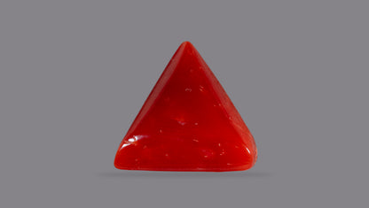Natural Italian Red Coral (Moonga) 6.06 Carats
