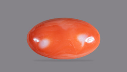Japanese Red Coral (Moonga) 46.06 Carats