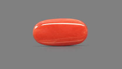 Natural Italian Red Coral (Moonga) 8.64 Carats