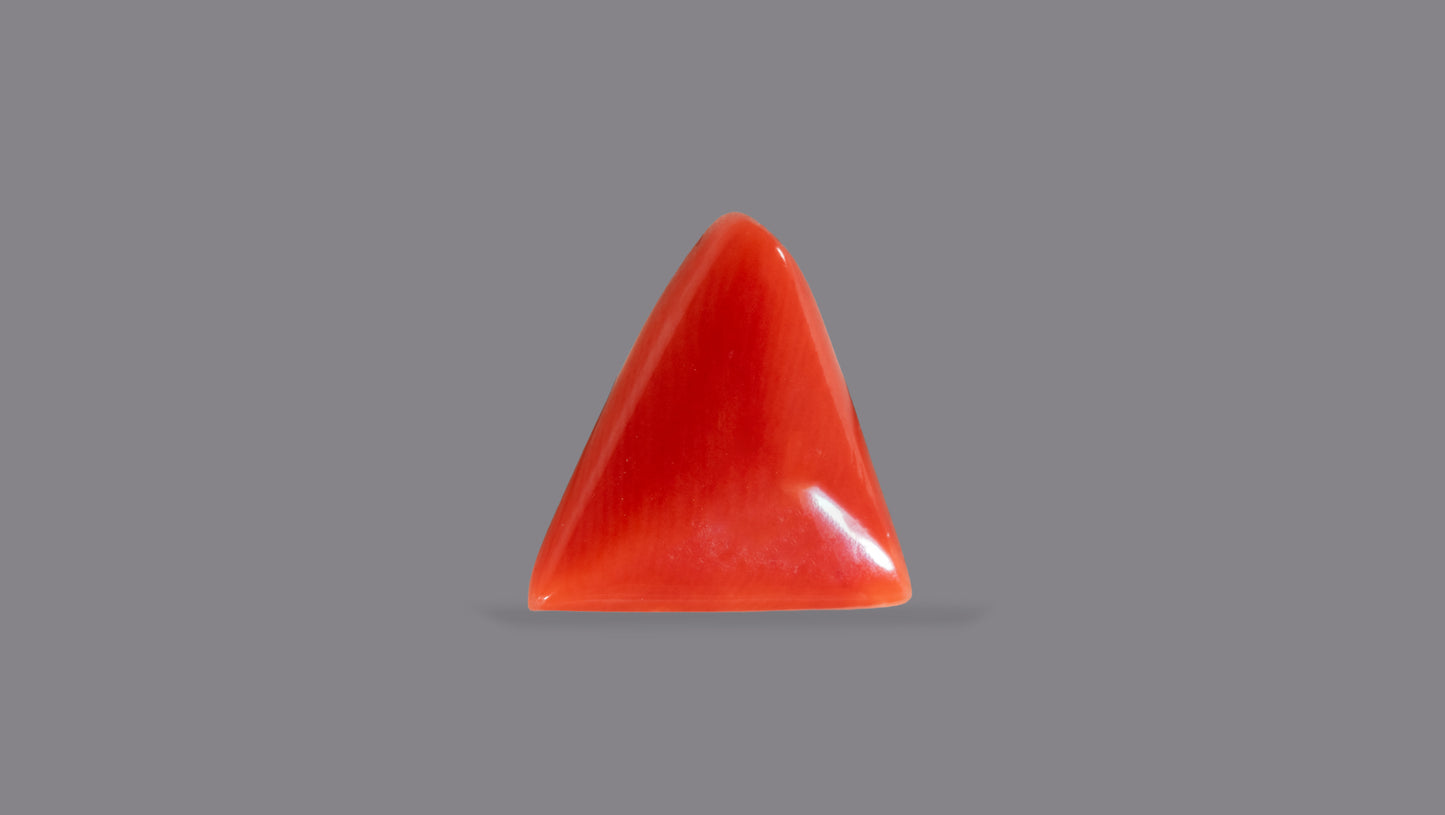 Natural Italian Red Coral (Moonga) 5.34 Carats