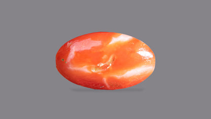 Japanese Red Coral (Moonga) 6.62 Carats