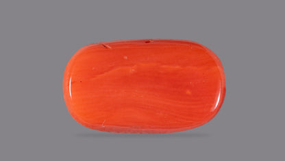 Natural Italian Red Coral (Moonga) 9.55 Carats
