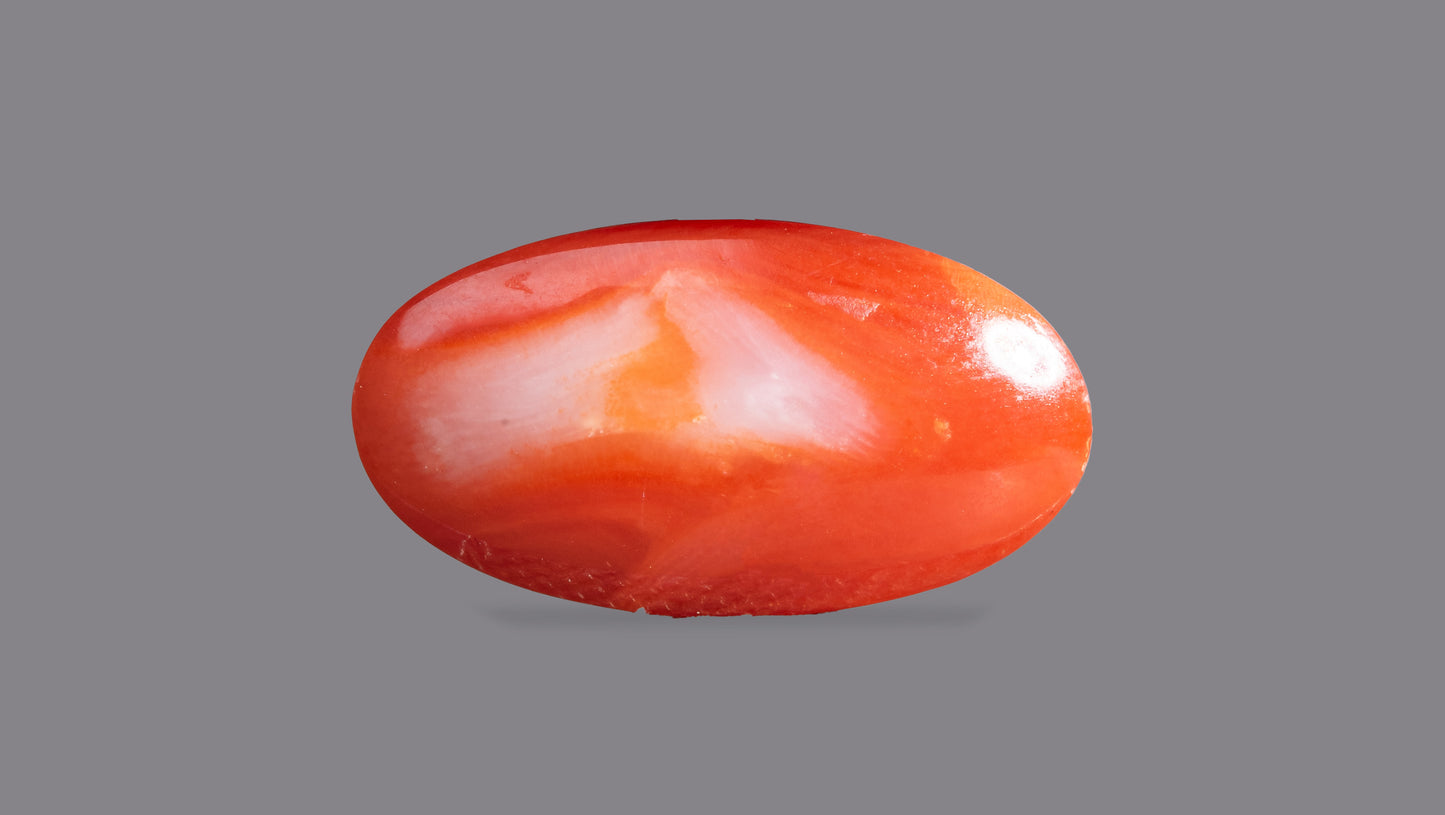Japanese Red Coral (Moonga) 5.72 Carats