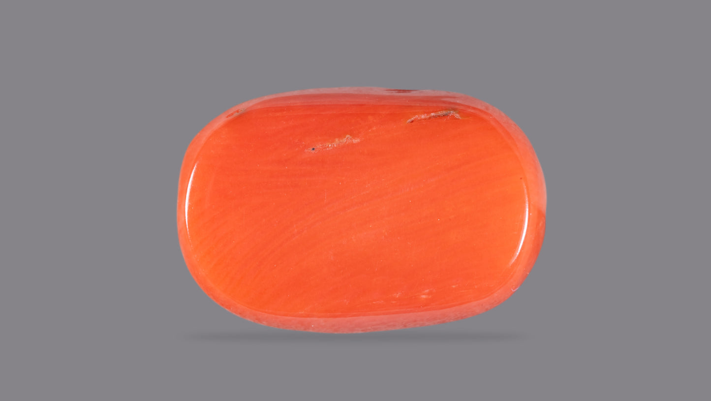 Natural Italian Red Coral (Moonga) 10.59 Carats