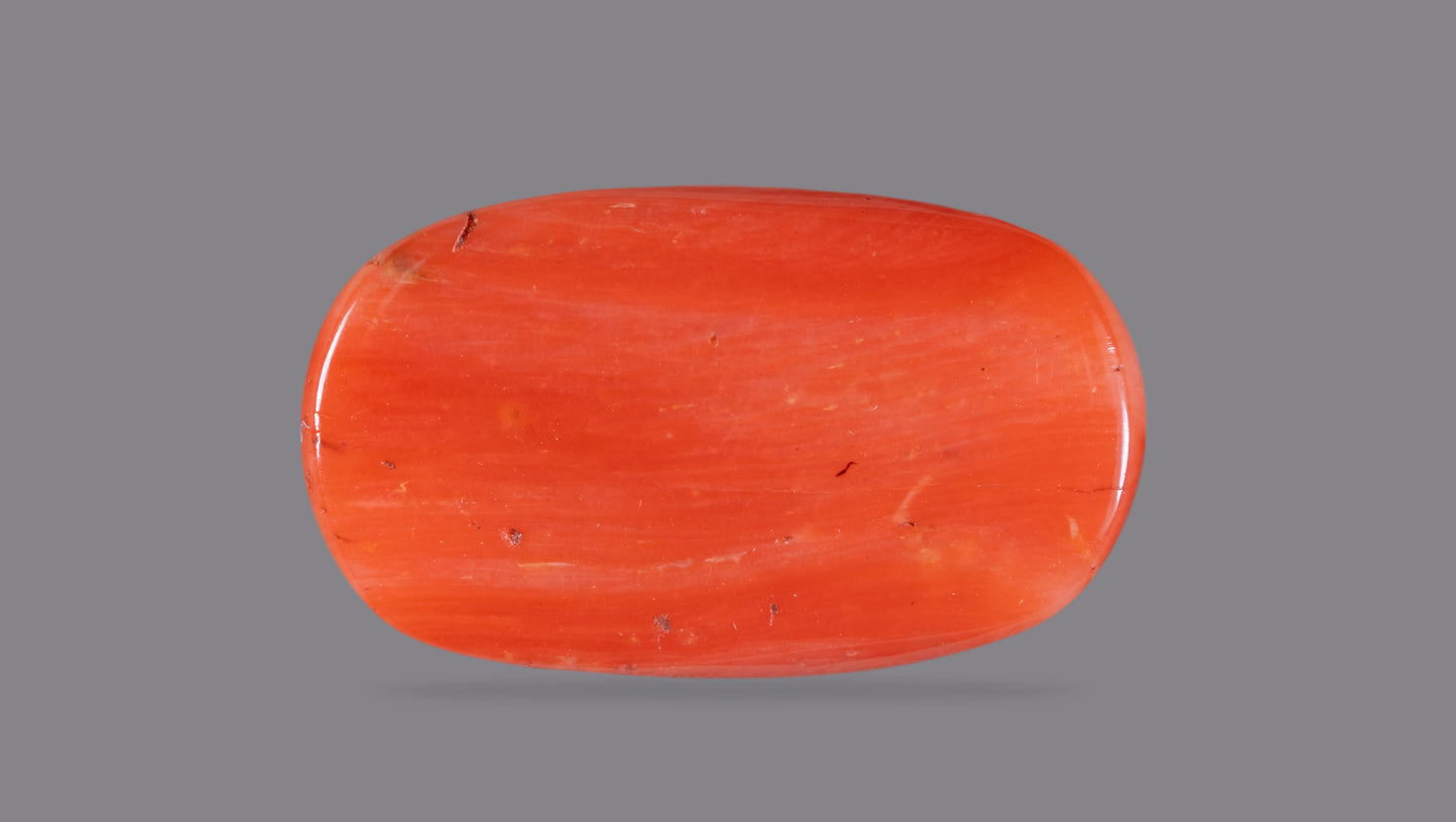 Natural Italian Red Coral (Moonga) 12.60 Carats
