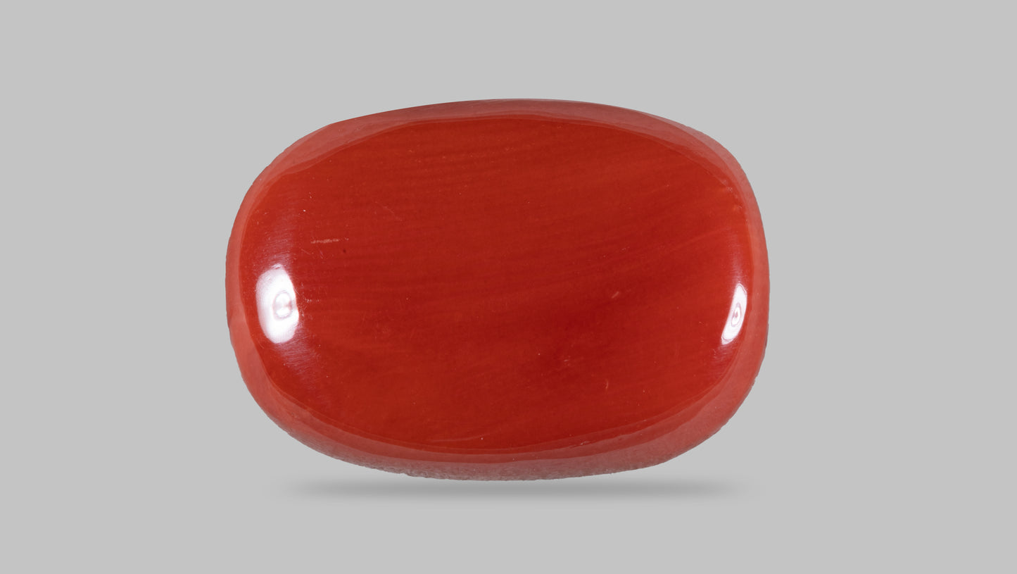 NATURAL RED CORAL (MOONGA) 13.31 CARATS