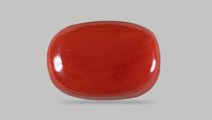 NATURAL RED CORAL (MOONGA) 13.31 CARATS