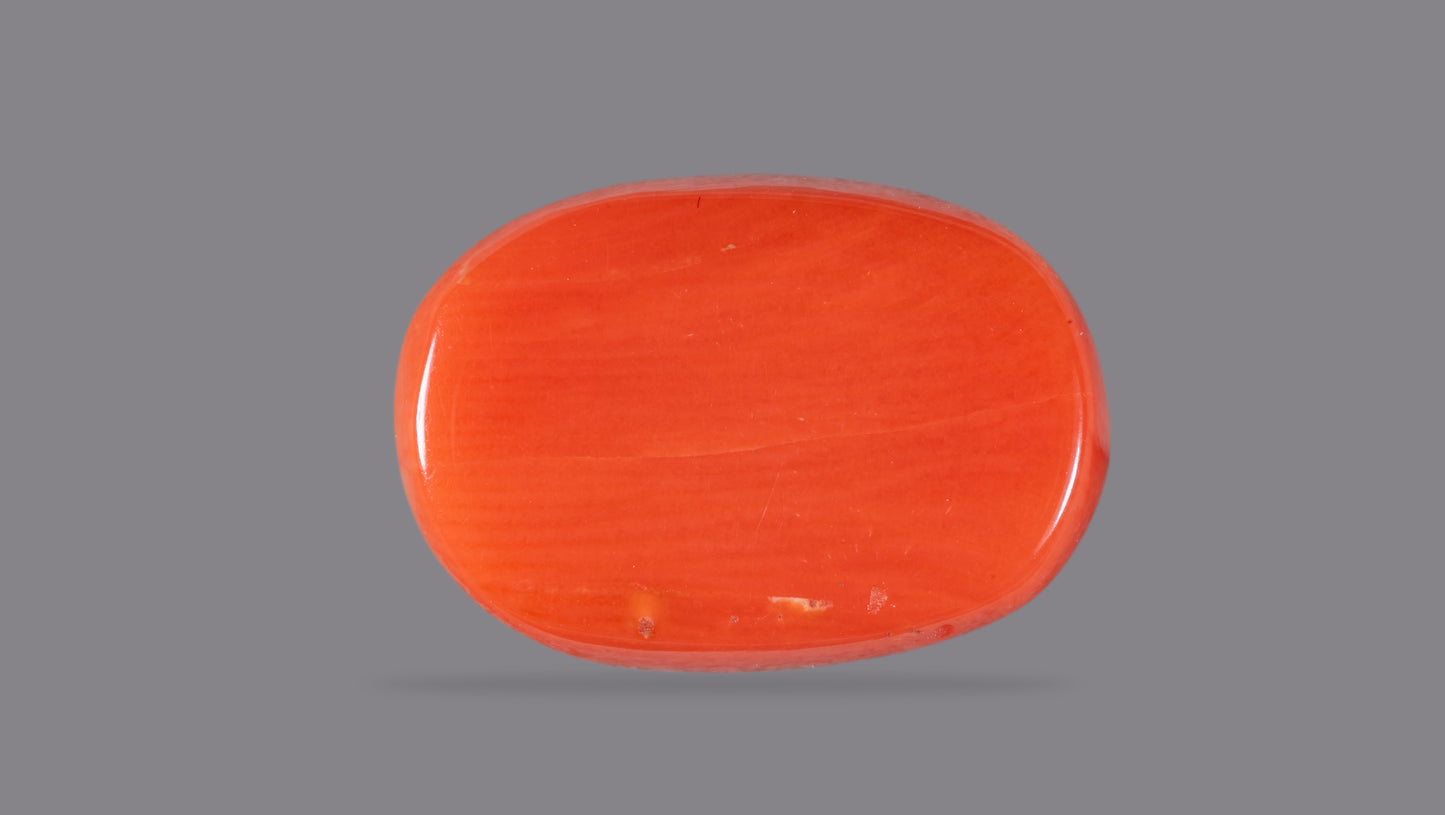 Natural Italian Red Coral (Moonga) 10.08 Carats