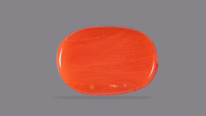 Natural Italian Red Coral (Moonga) 10.08 Carats