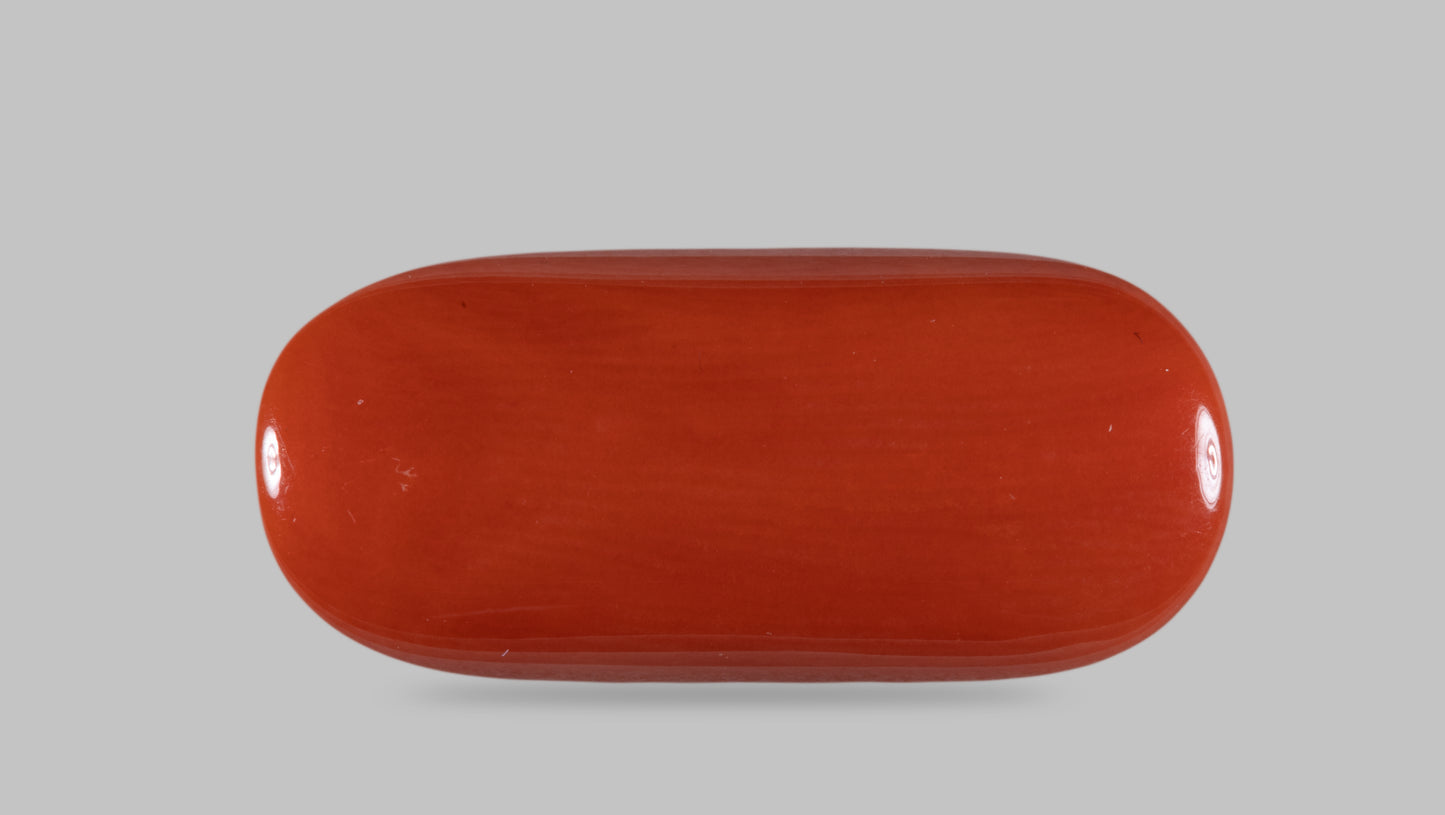 Natural Italian Red Coral (Moonga) 12.74 Carats