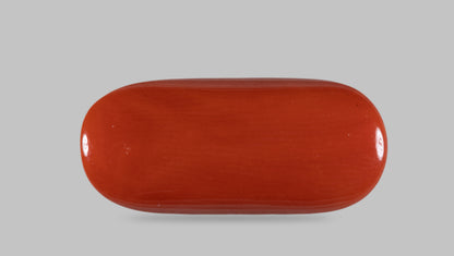 Natural Italian Red Coral (Moonga) 12.74 Carats