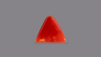 Natural Italian Red Coral (Moonga) 5.17 Carats