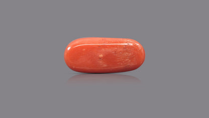 Natural Italian Red Coral (Moonga) 9.72 Carats