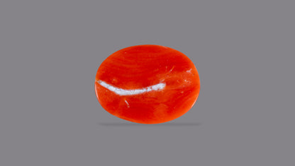 Japanese Red Coral (Moonga) 4.43 Carats