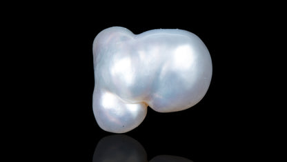 Venezuela Pearl (Moti) 11.38 Carats