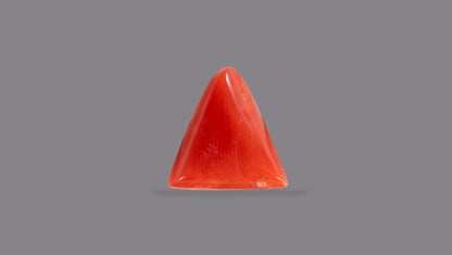 Natural Italian Red Coral (Moonga) 5.28 Carats