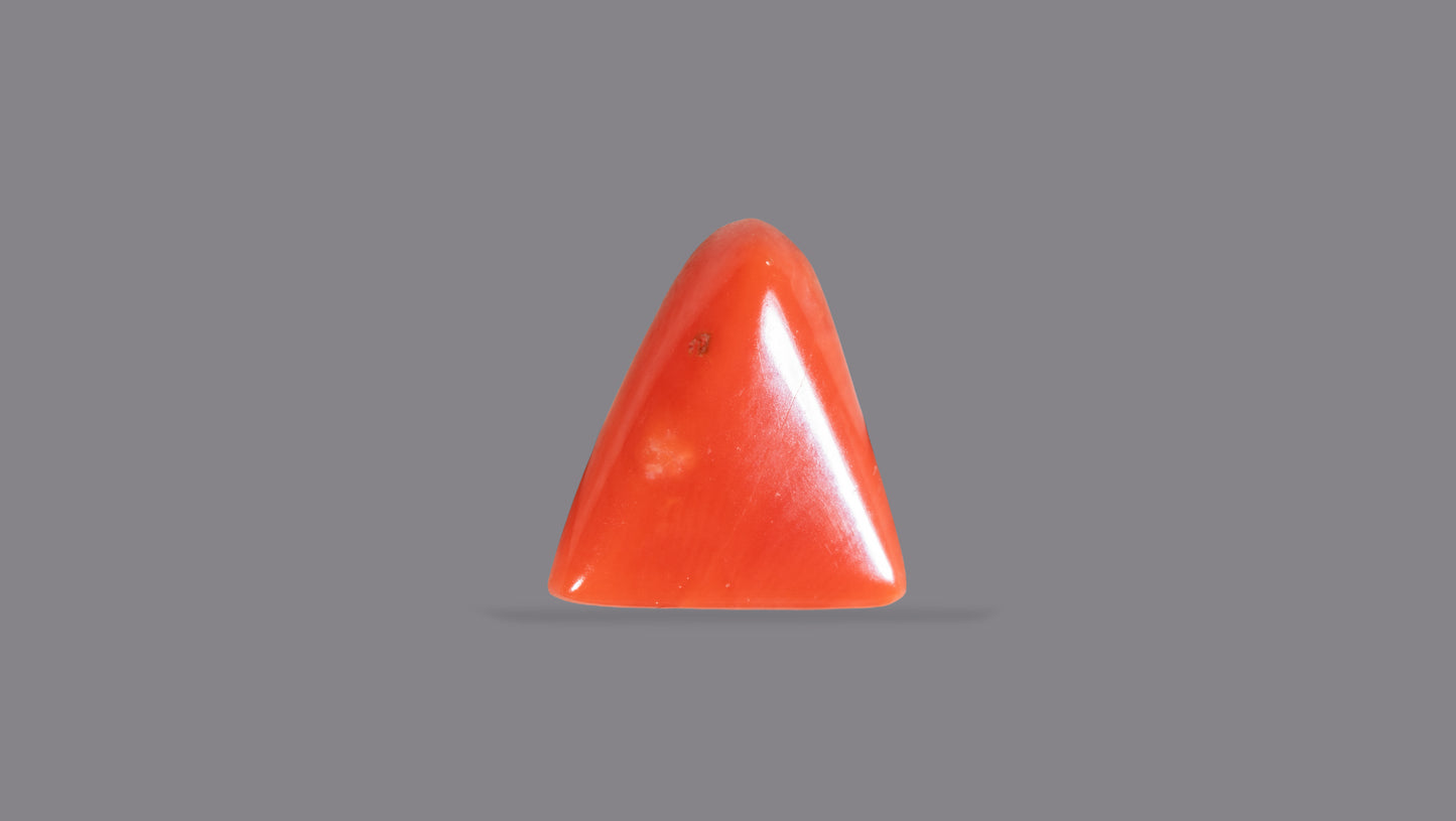 Natural Italian Red Coral (Moonga) 5.06 Carats