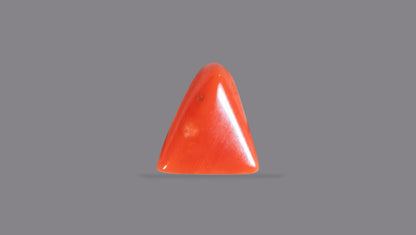 Natural Italian Red Coral (Moonga) 5.06 Carats