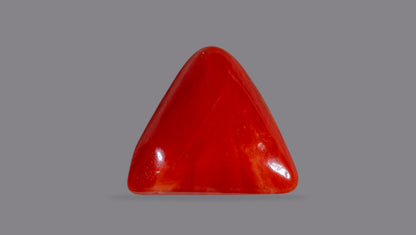 Natural Italian Red Coral (Moonga) 6.28 Carats