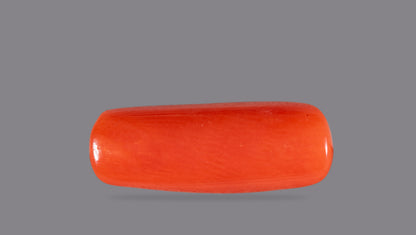 Natural Italian Red Coral (Moonga) 4.63 Carats