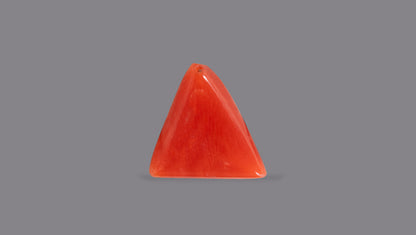 Natural Italian Red Coral (Moonga) 5.15 Carats