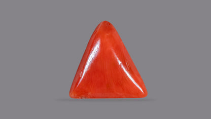 Natural Italian Red Coral (Moonga) 6.29 Carats