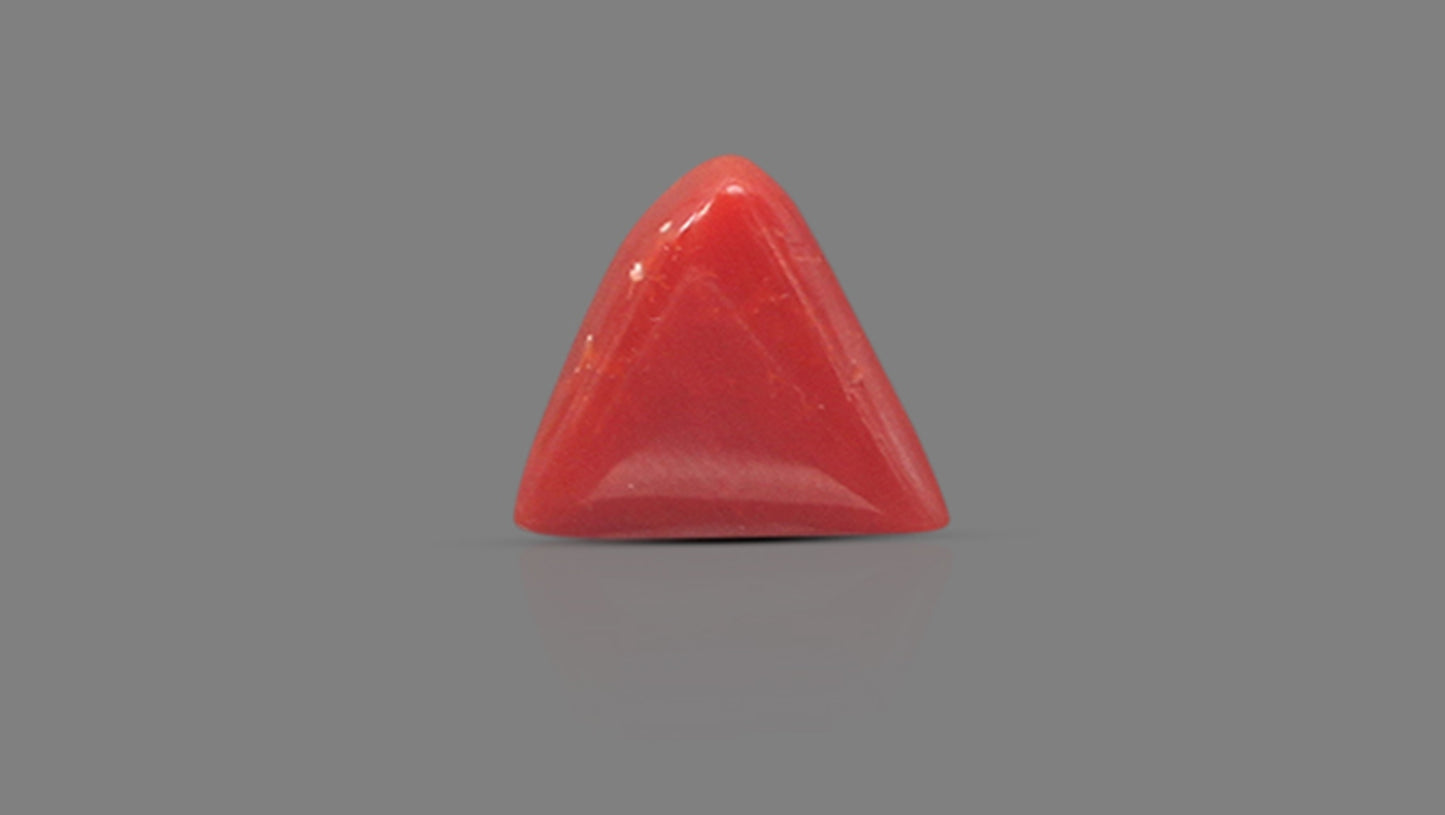 Natural Italian Red Coral (Moonga) 6.07 Carats