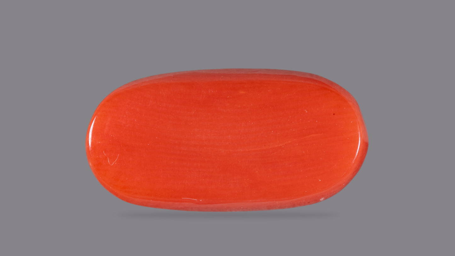 Natural Red Coral (Moonga) 8.23 Carats