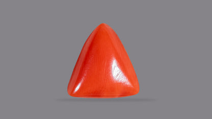 Natural Italian Red Coral (Moonga) 5.86 Carats