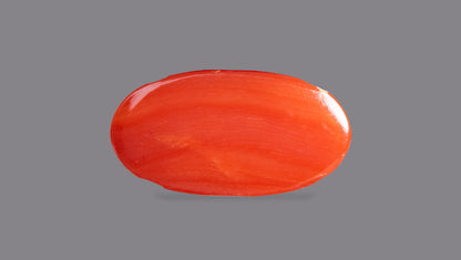 Japanese Red Coral (Moonga) 5.43 Carats
