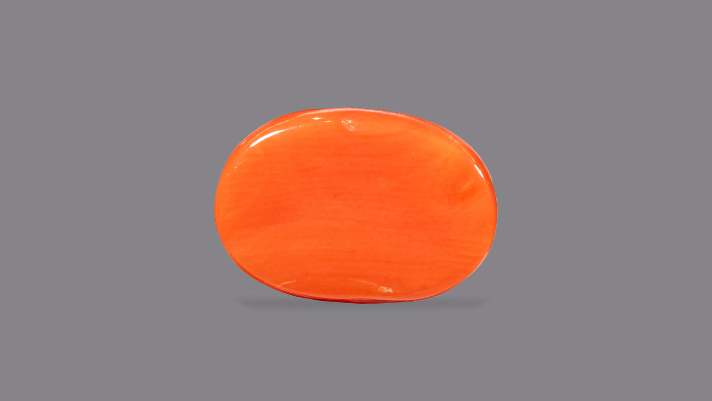 Natural Italian Red Coral (Moonga) 7.88 Carats