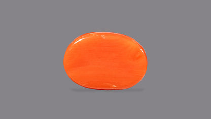 Natural Italian Red Coral (Moonga) 7.88 Carats
