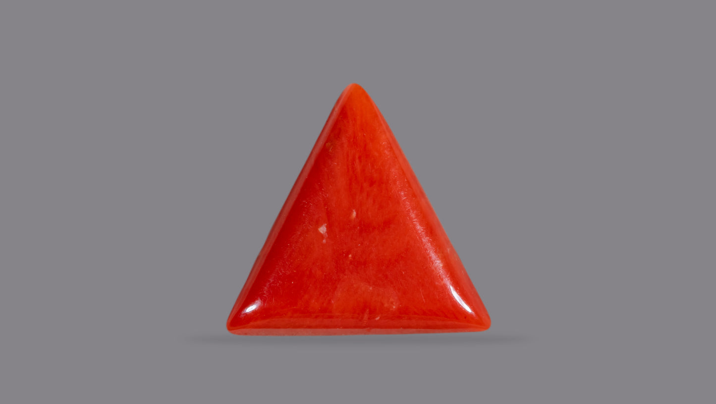 NATURAL RED CORAL (Moonga) 6.30 CARATS