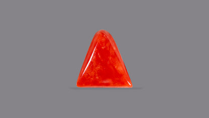 Natural Italian Red Coral (Moonga) 6.04 Carats