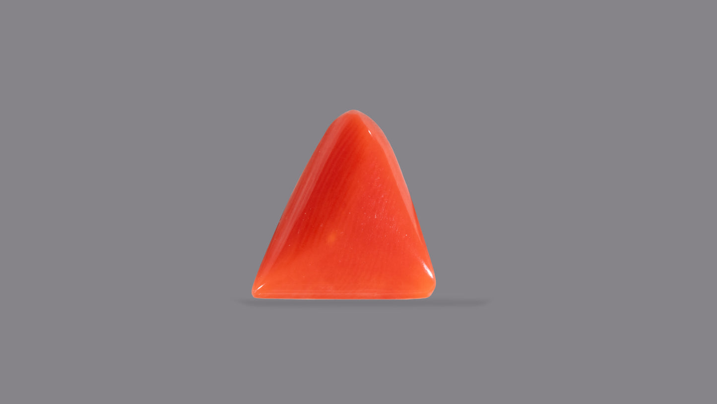 Natural Italian Red Coral (Moonga) 6.06 Carats