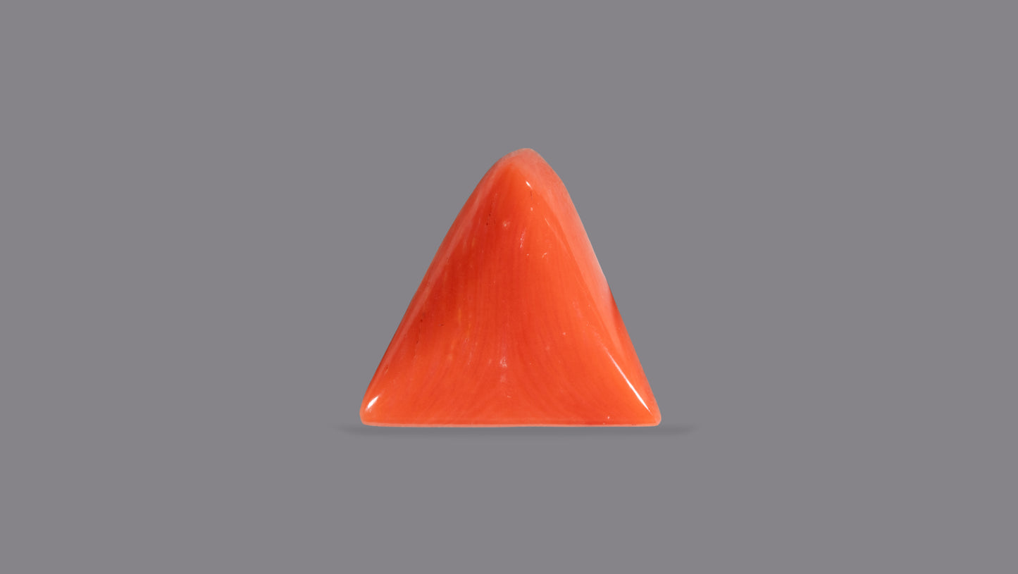 Natural Italian Red Coral (Moonga) 5.94 Carats