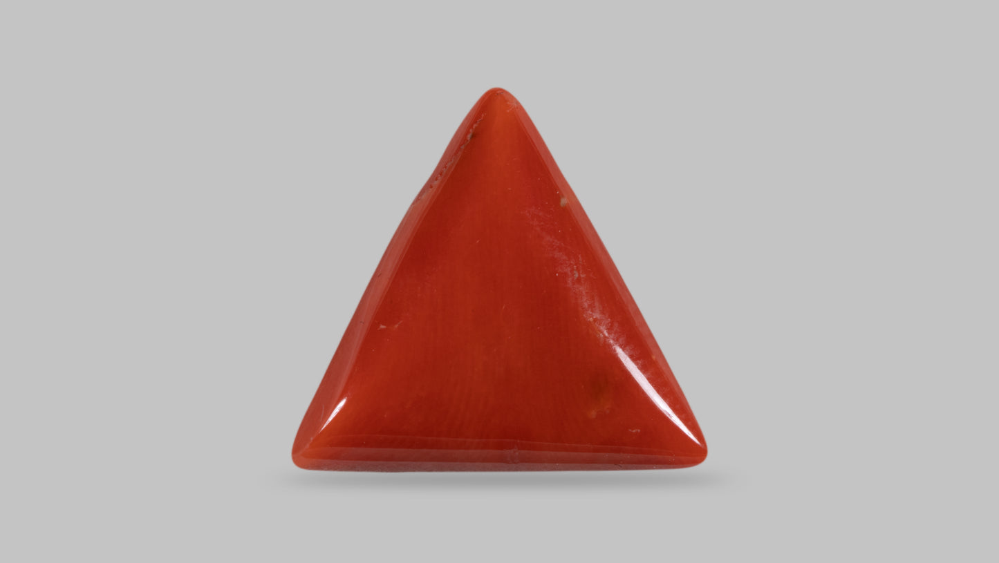 Natural Italian Red Coral (Moonga) 16.46 Carats