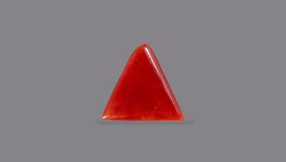 Natural Italian Red Coral (Moonga) 4.95 Carats