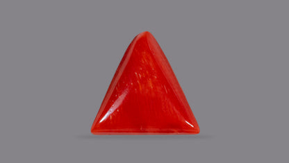 NATURAL RED CORAL (Moonga) 6.19 CARATS