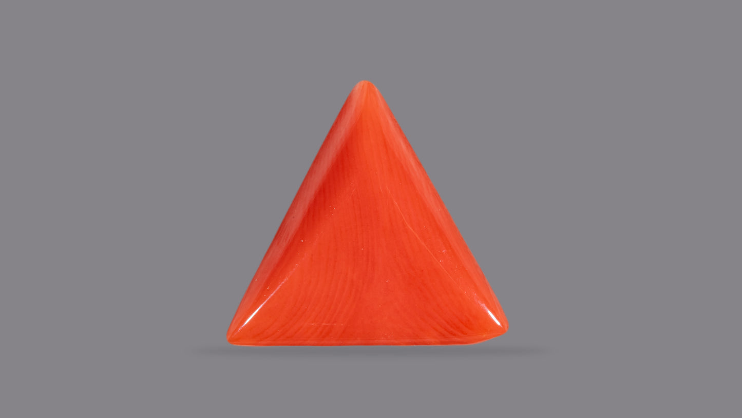 NATURAL RED CORAL (Moonga) 7.00 CARATS