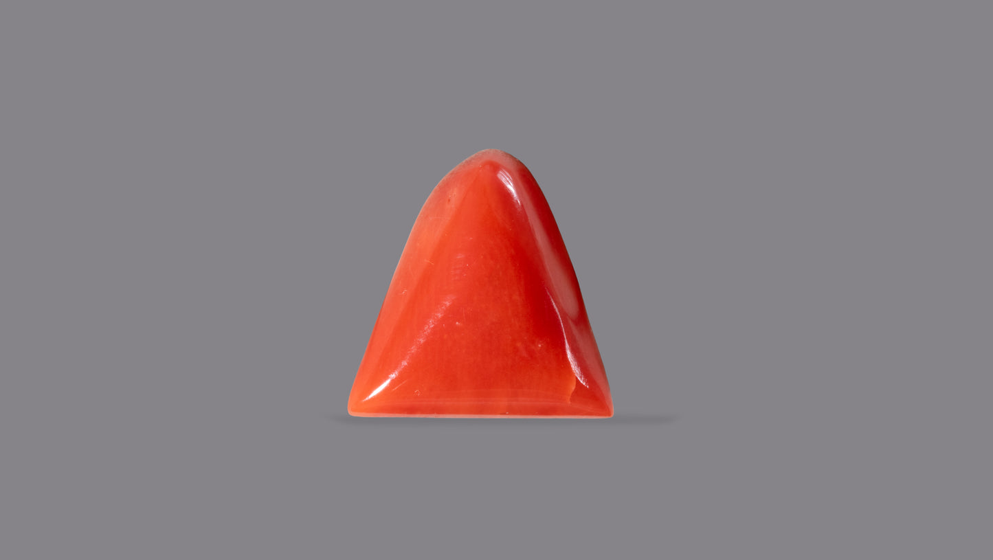 Natural Italian Red Coral (Moonga) 5.53 Carats