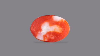 Japanese Red Coral (Moonga) 5.05 Carats