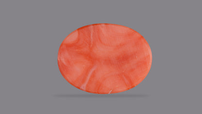 Japanese Red Coral (Moonga) 13.83 Carats