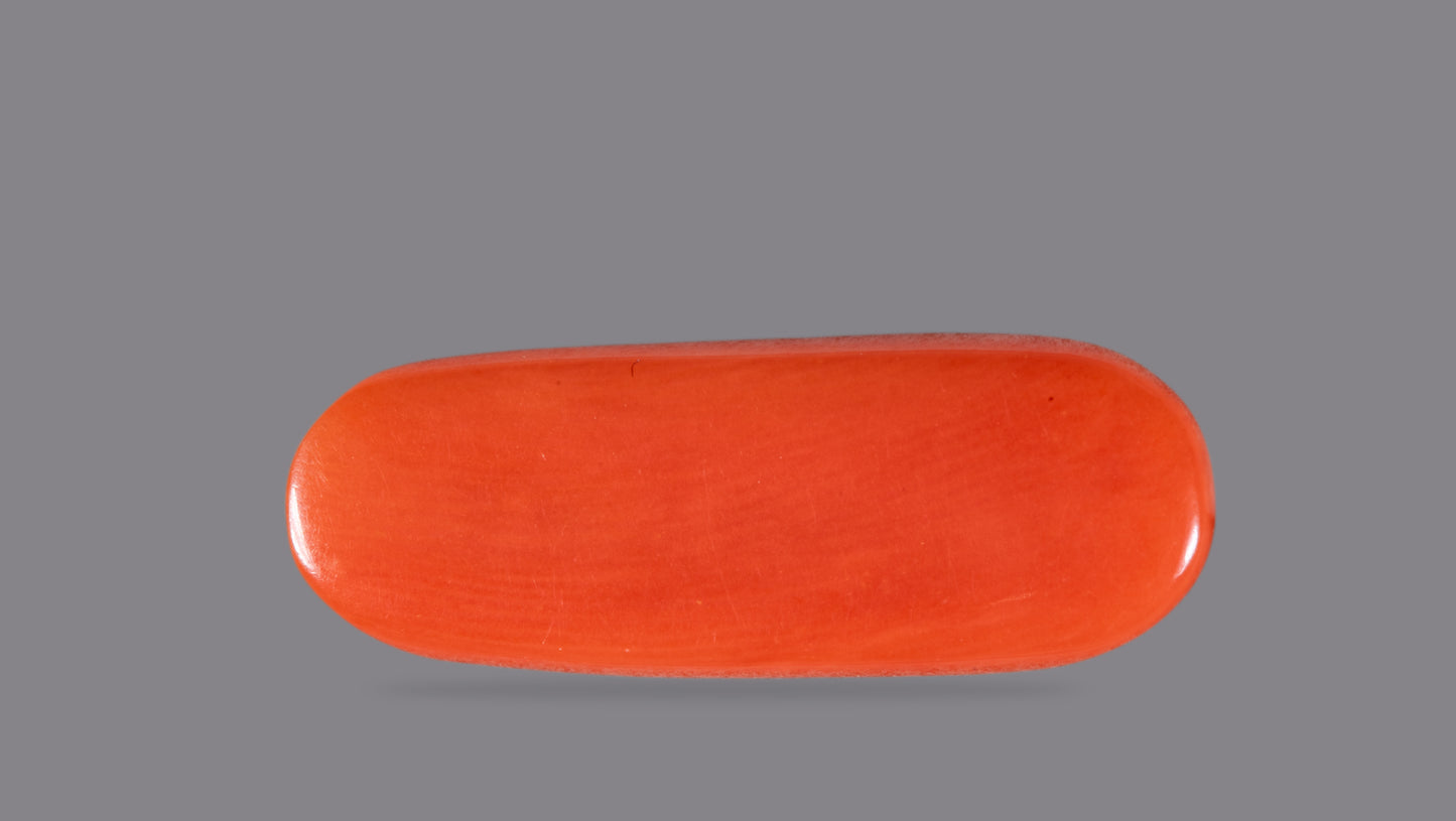 NATURAL RED CORAL (Moonga) 6.58 CARATS