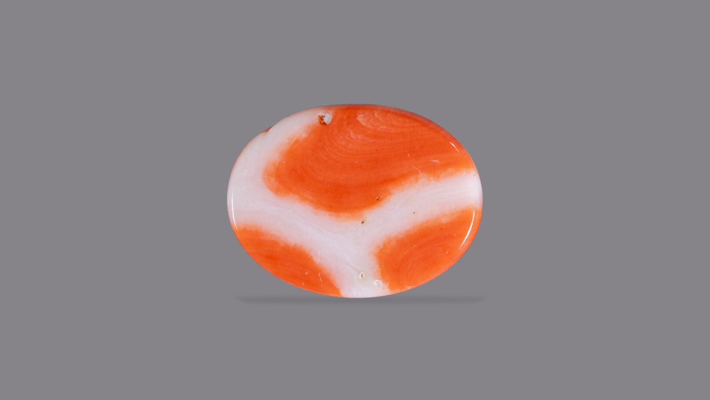 Japanese Red Coral (Moonga) 8.40 Carats