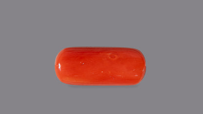 NATURAL RED CORAL (Moonga) 8.37 CARATS