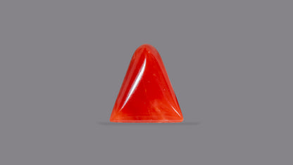 Natural Italian Red Coral (Moonga) 5.42 Carats