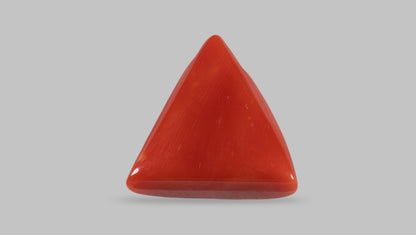 Natural Italian Red Coral (Moonga) 14.05 Carats